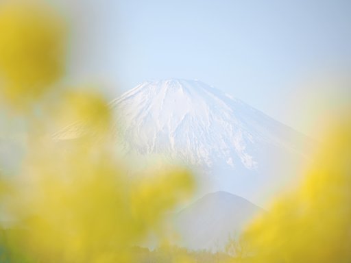 春がふつふつと