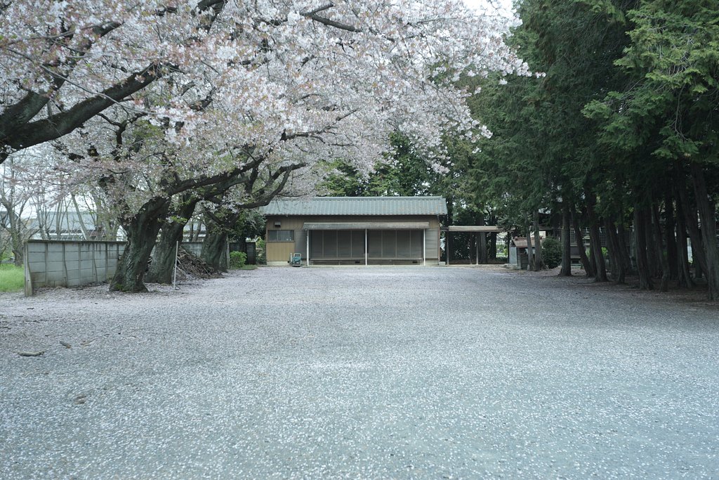 ちりぢり