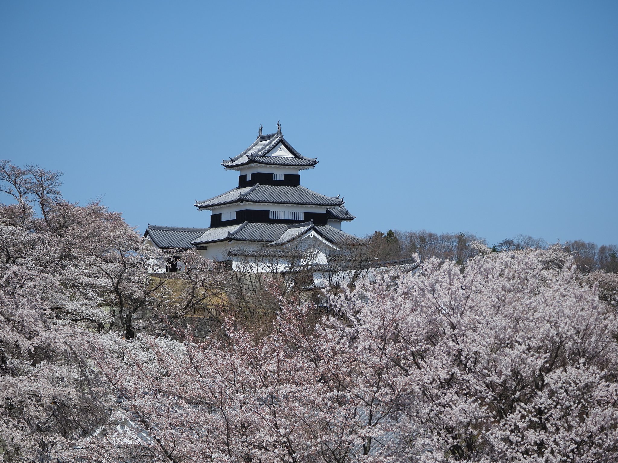 天晴れ～白河小峰城～