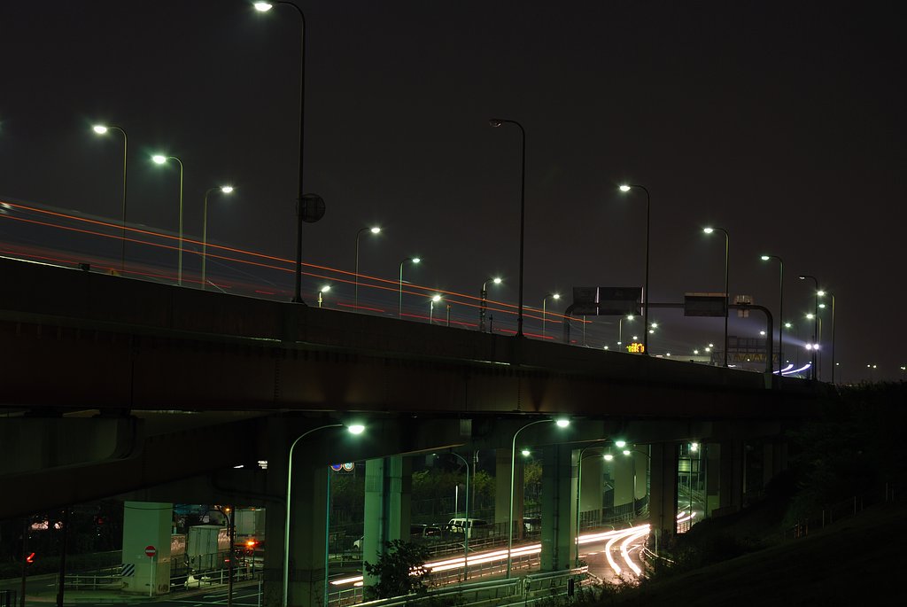 初めての夜景？