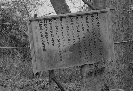 7月16日の写真