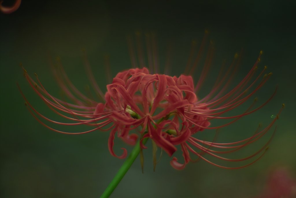 絶妙な