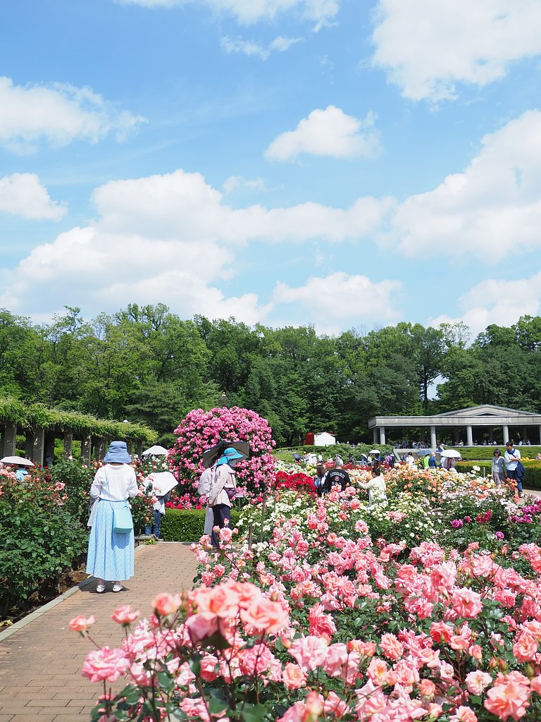 春バラ～神代植物公園～