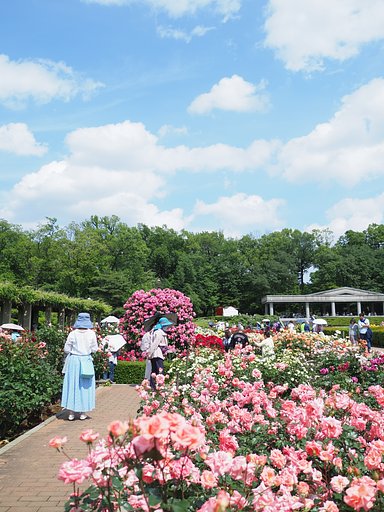 春バラ～神代植物公園～