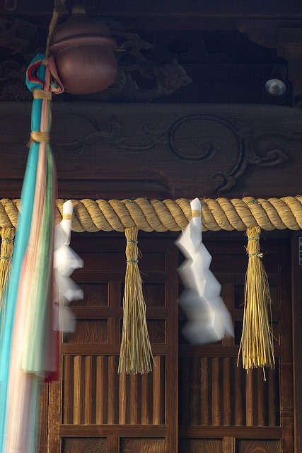 秋の風に揺れる