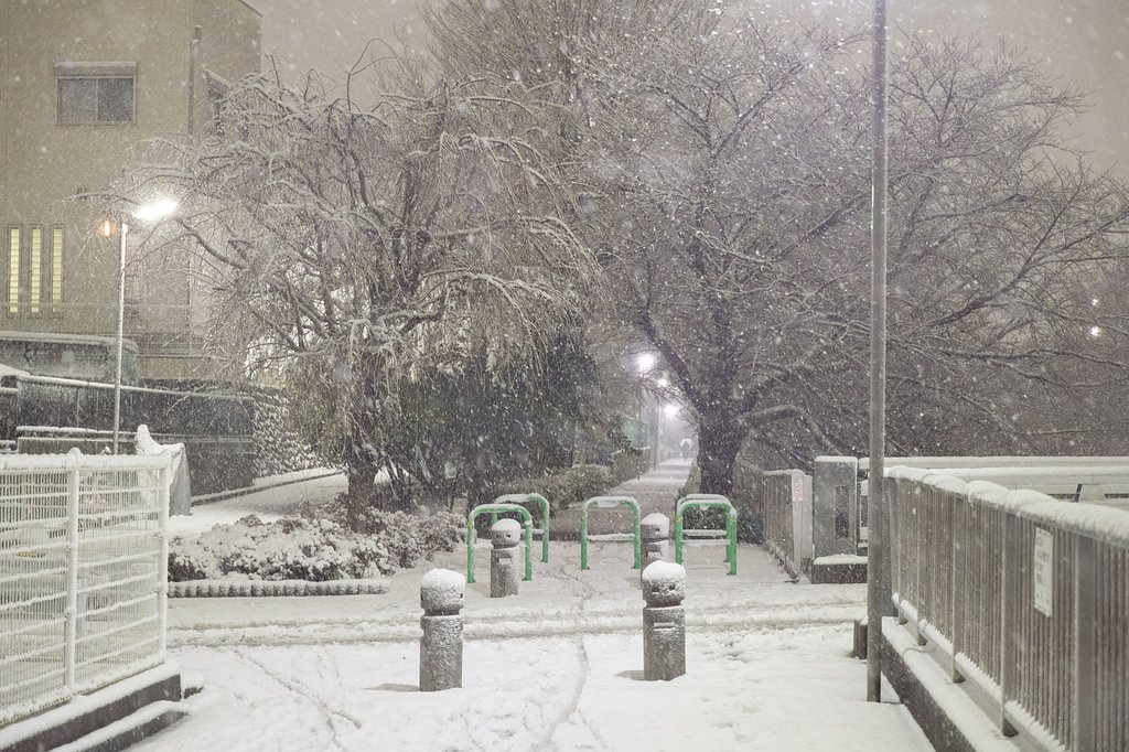 東京、雪国？