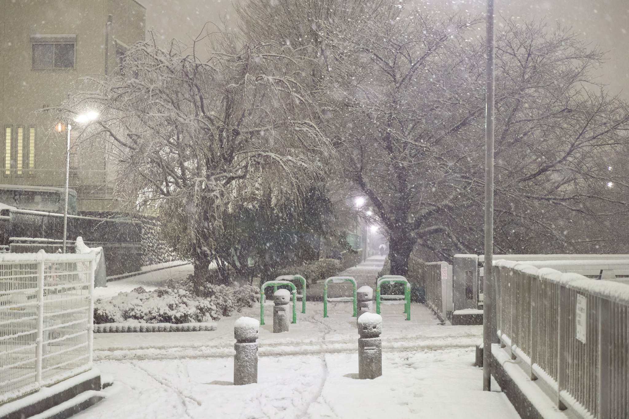 東京、雪国？