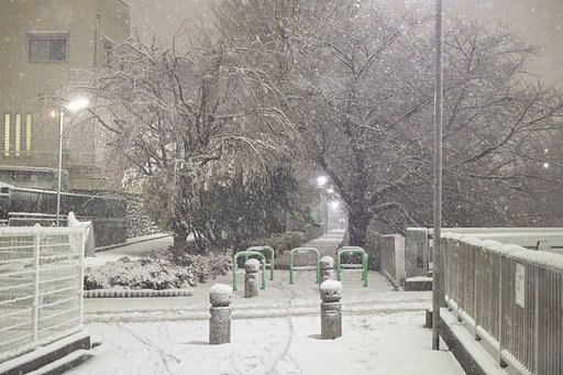 東京、雪国？