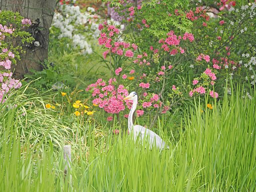 4月27日の写真