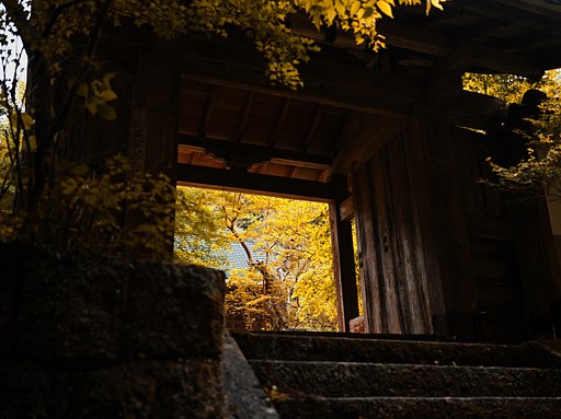 山里にて