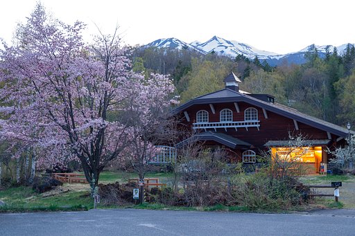 三度目の桜