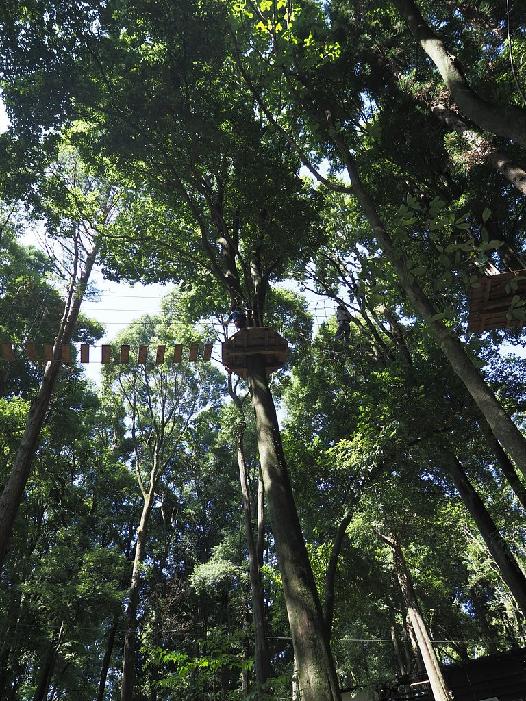 里山ガーデン～ターザン～