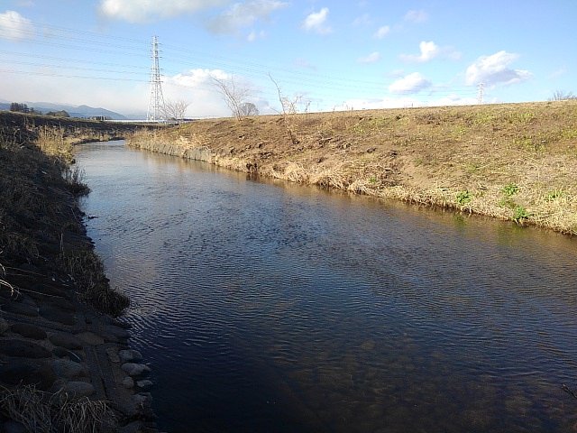 緩やかな水面の川