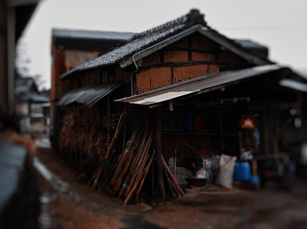 雨日