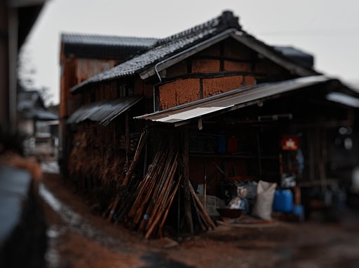 雨日