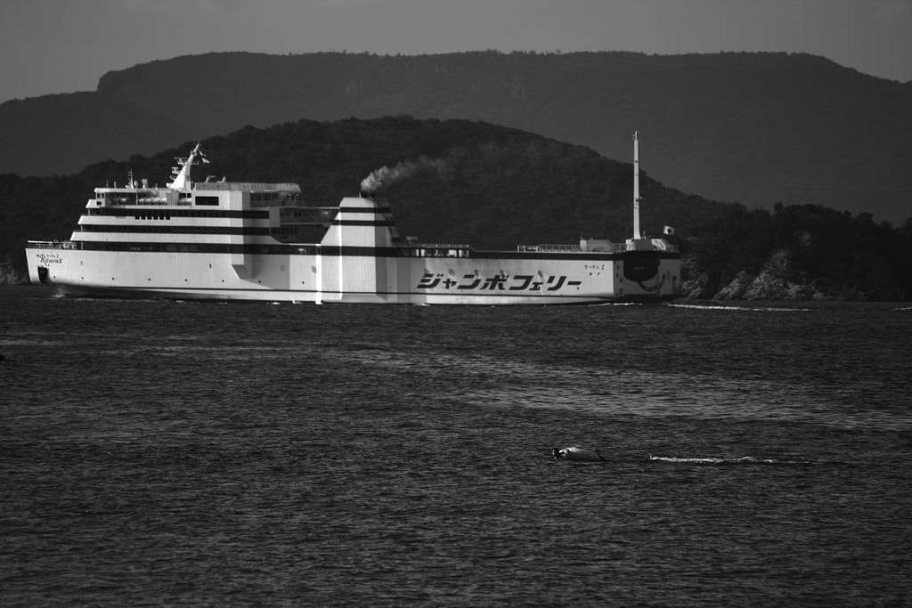 海へ