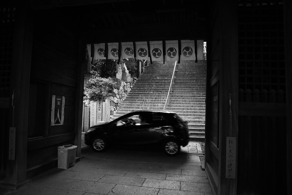 雑感