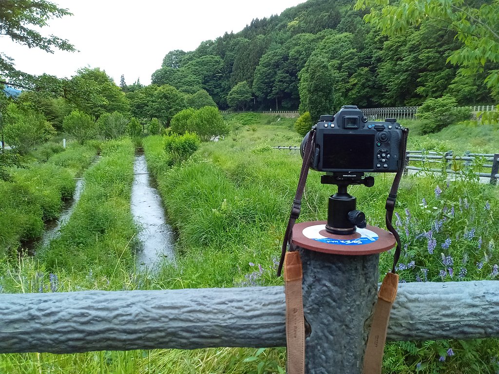 秘密兵器（大）