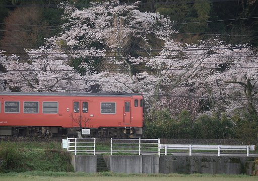 JR在来線