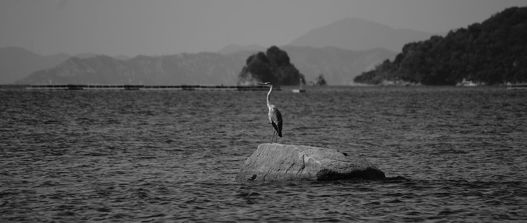 海辺にて