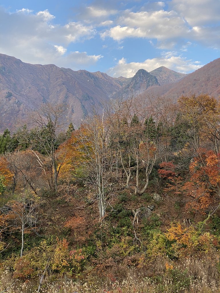 晩秋の山