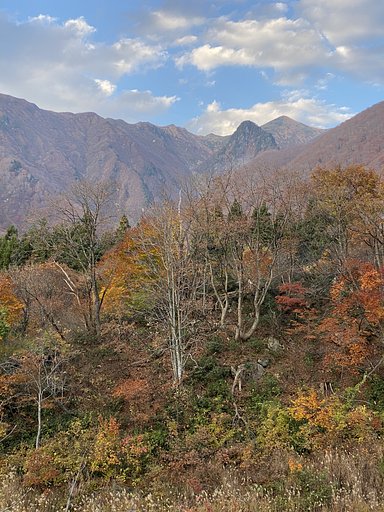 晩秋の山