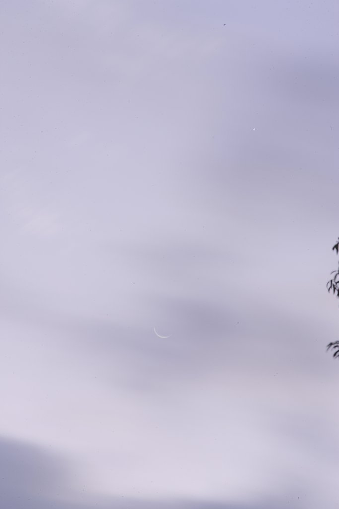 さっきのお月様と金星？かな