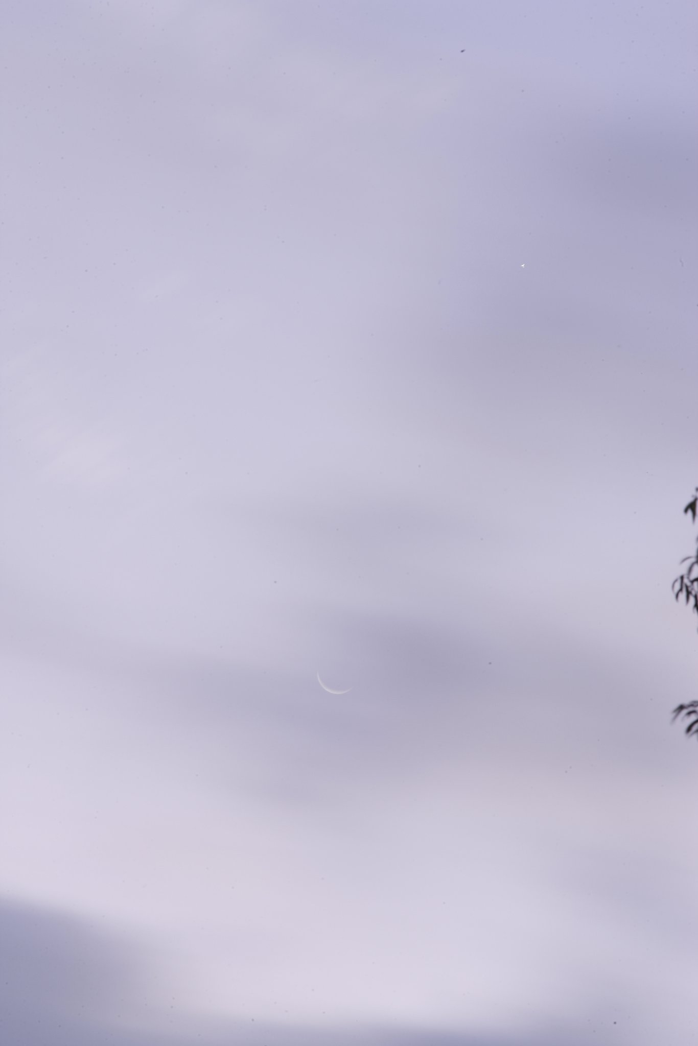 さっきのお月様と金星？かな