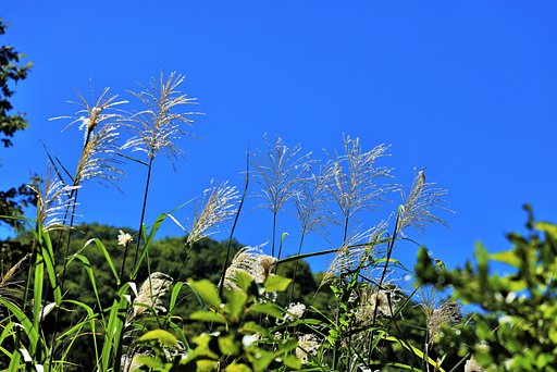 夏空？ 秋空？