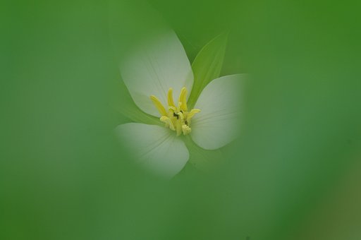 穴から覗いてみた