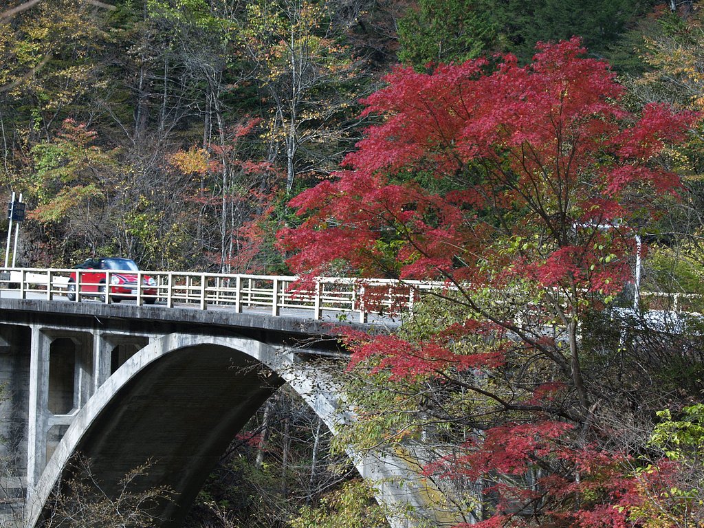 紅葉の大菩薩ライン、その１