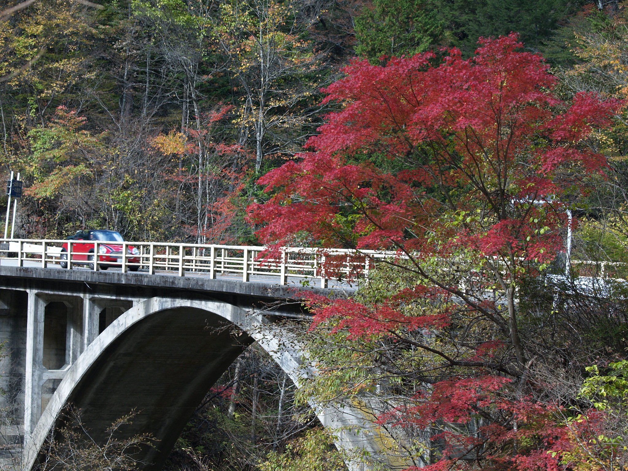 紅葉の大菩薩ライン、その１