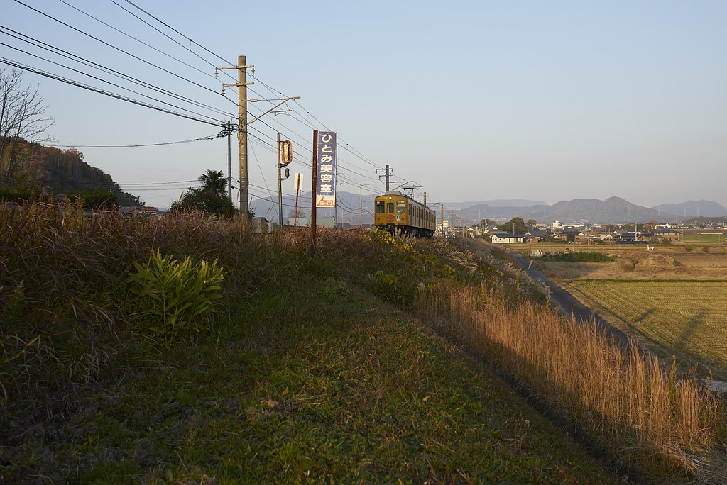 雑記