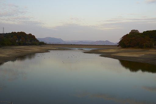 雑記