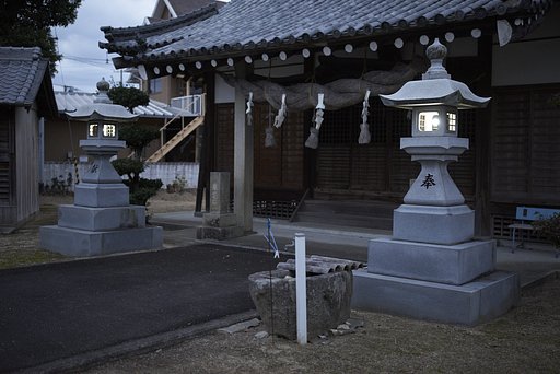 雑感