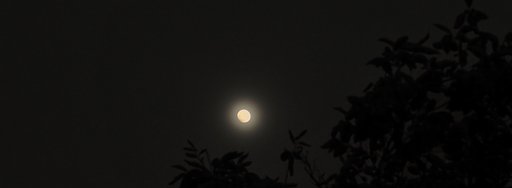 朧月夜