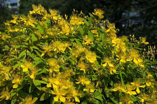 ちょっと失礼