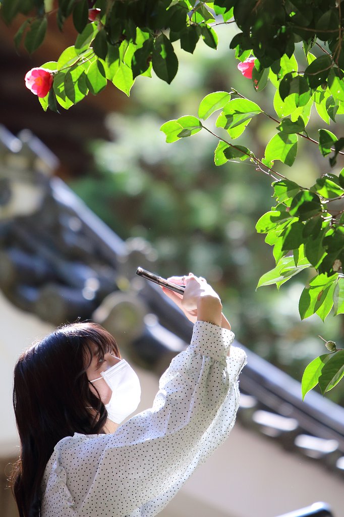 爽やか美人百景　～ただひたすらに今を撮る2023春～