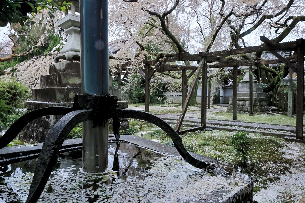 近場のお寺