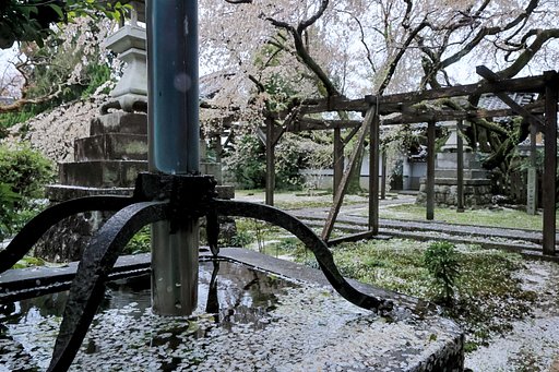 近場のお寺