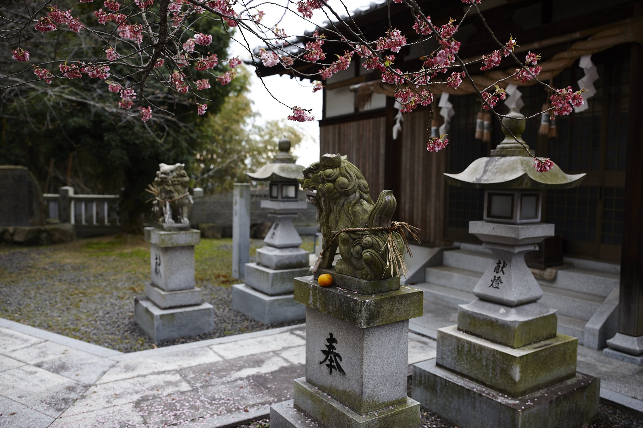 雑