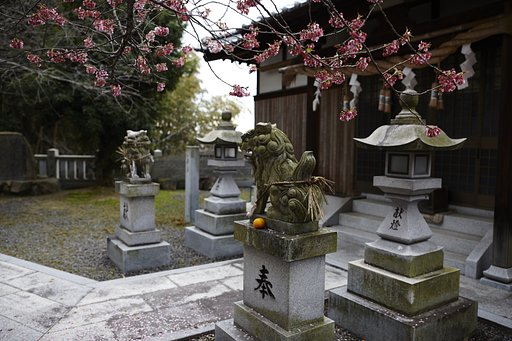 雑