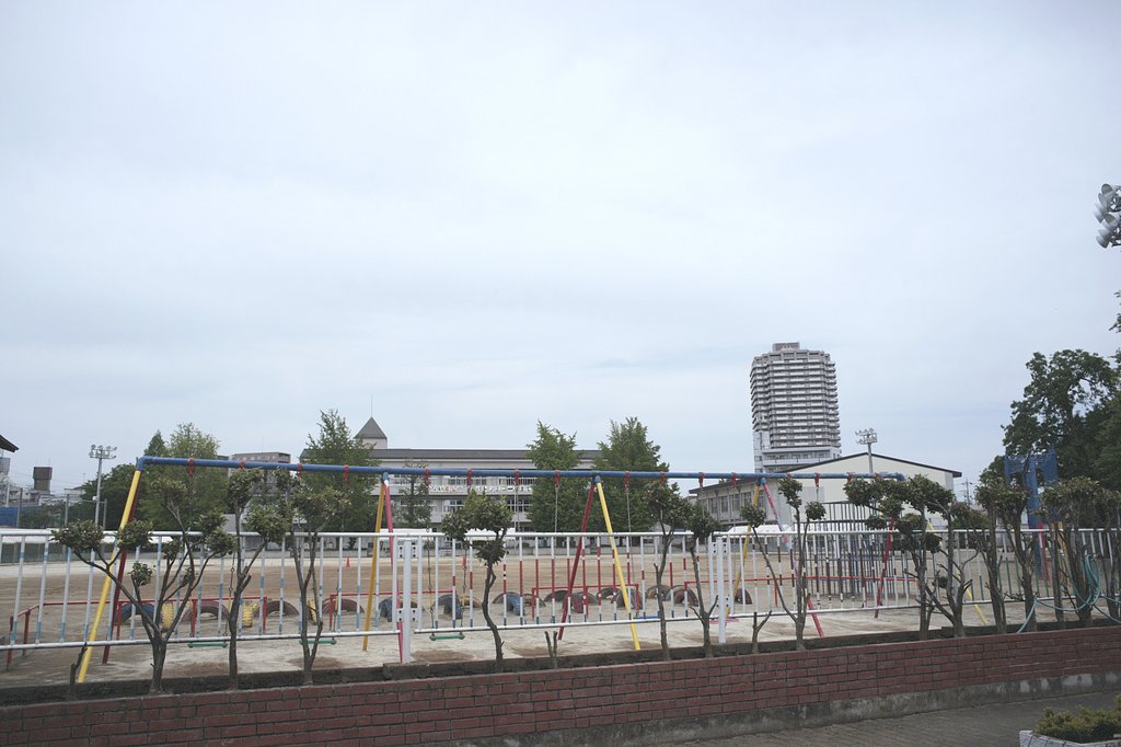 学校