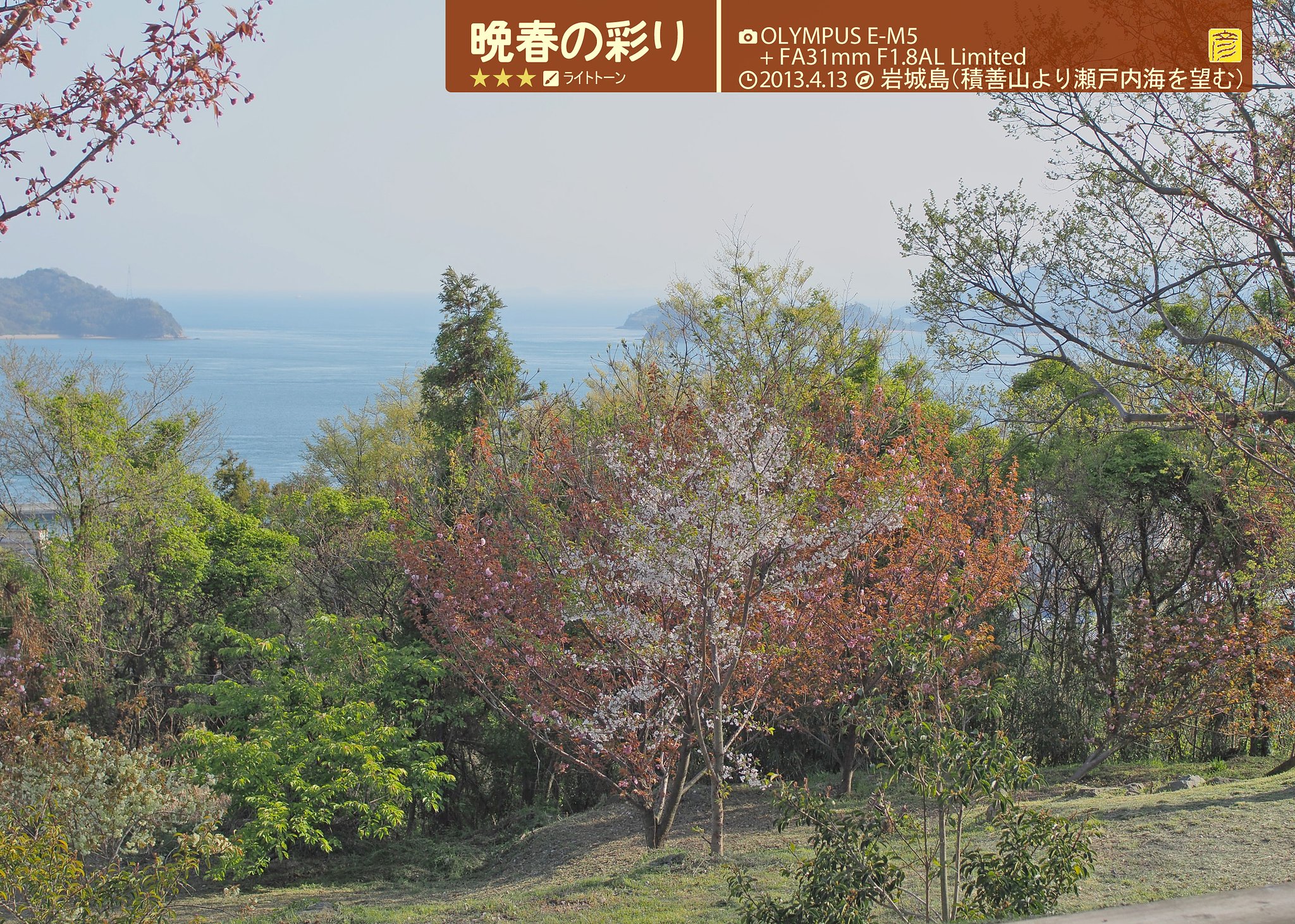 晩春の彩り2013