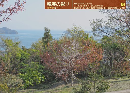 晩春の彩り2013