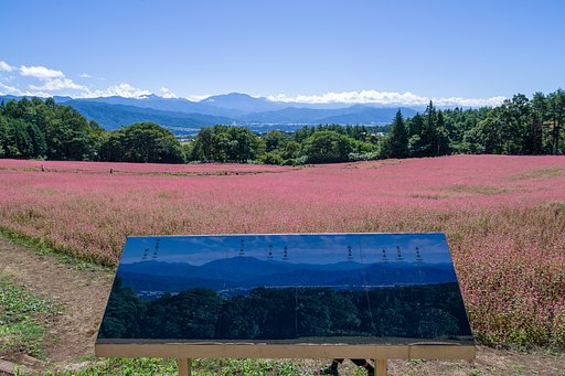 赤そばの里