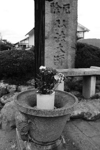 雑感