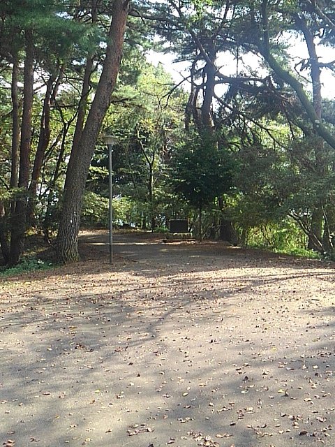 平和な緑の丘