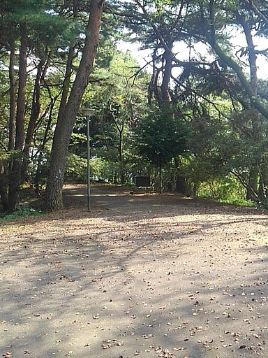 平和な緑の丘