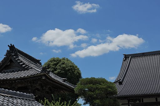 7月20日の写真